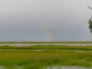 rainbow on Dewees Island, SC